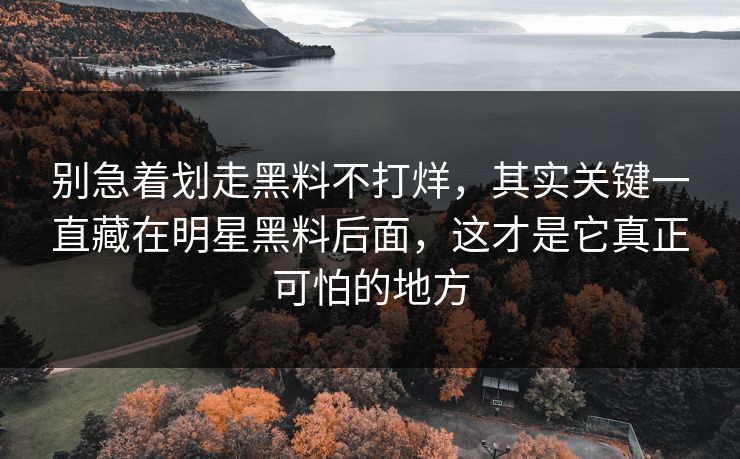 别急着划走黑料不打烊,其实关键一直藏在明星黑料后面,这才是它真正可怕的地方 别急着划走黑料不打烊,其实关键一直藏在明星黑料后面,这才是它真正可怕的地方
