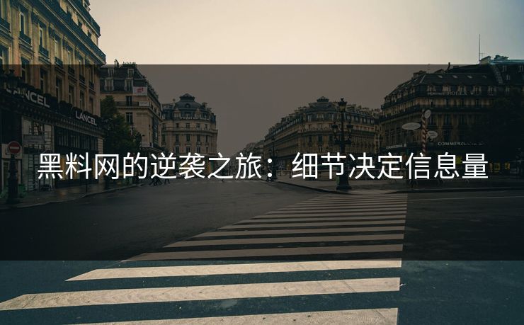 黑料网的逆袭之旅：细节决定信息量