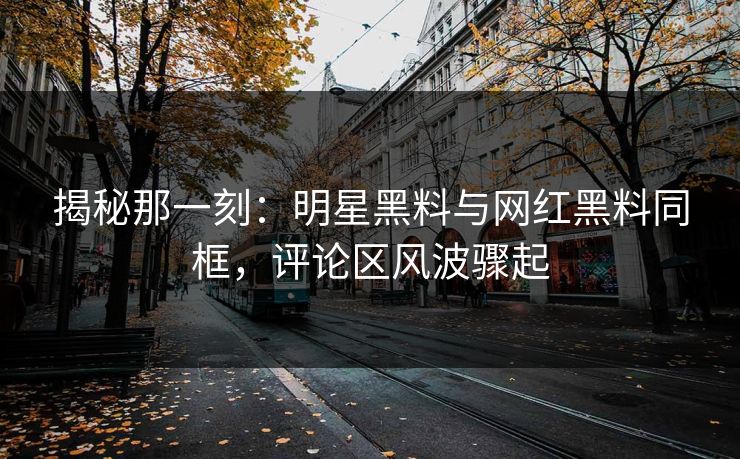 揭秘那一刻:明星黑料与网红黑料同框,评论区风波骤起