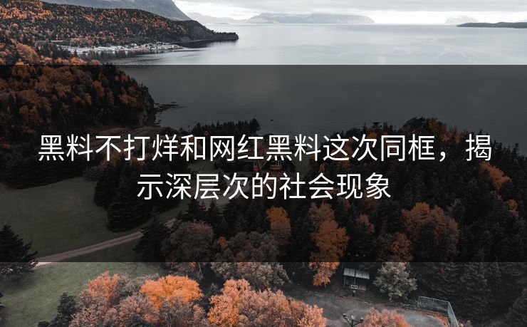 黑料不打烊和网红黑料这次同框,揭示深层次的社会现象